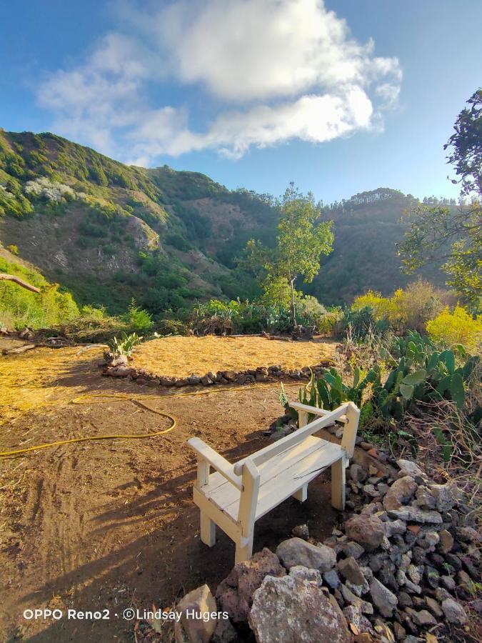 Free Canari - Los Alamos 8 Otel Tegueste Dış mekan fotoğraf